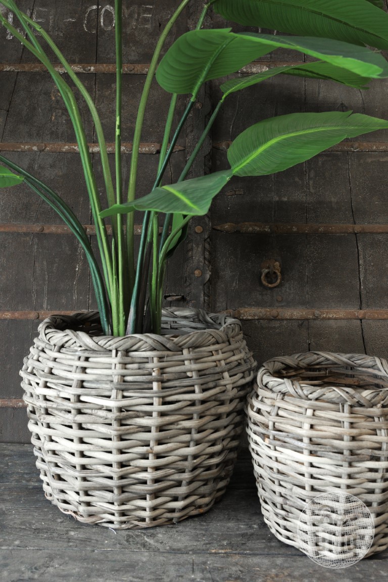 Set/2 manden Zala | rattan grey