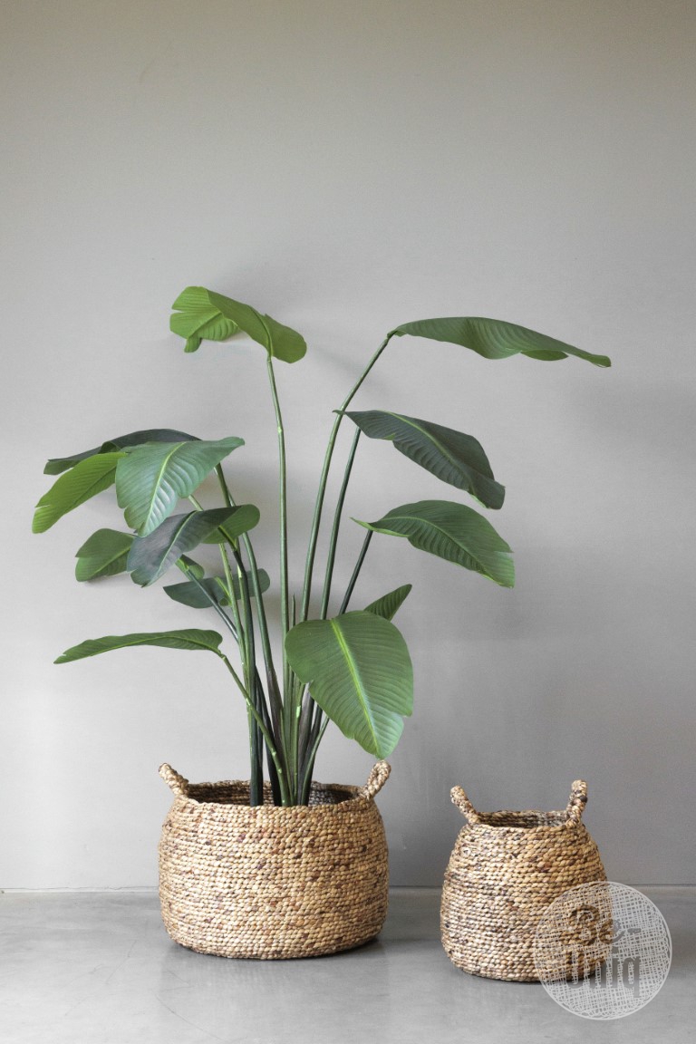 Set/2 basket Dean | Banana leaf