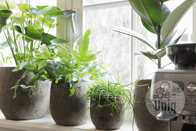  Pot Flora | 14 cm | Earth Finish