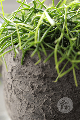  Pot Flora | 14 cm | Earth Finish