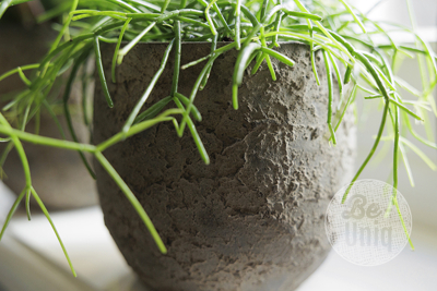  Pot Flora | 14 cm | Earth Finish