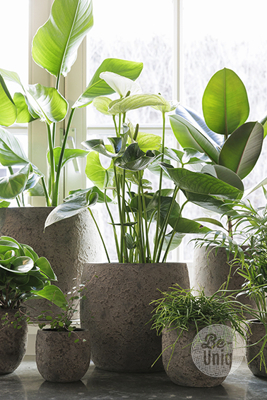  Pot Flora | 14 cm | Earth Finish
