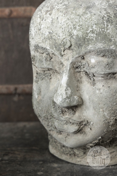 Verweerd Buddha-hoofd